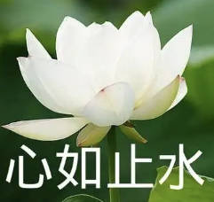Avatar 1